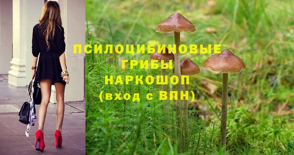 ПСИЛОЦИБИНОВЫЕ ГРИБЫ Верея