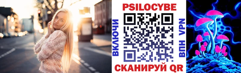 кракен зеркало  Бийск  Псилоцибиновые грибы Cubensis 