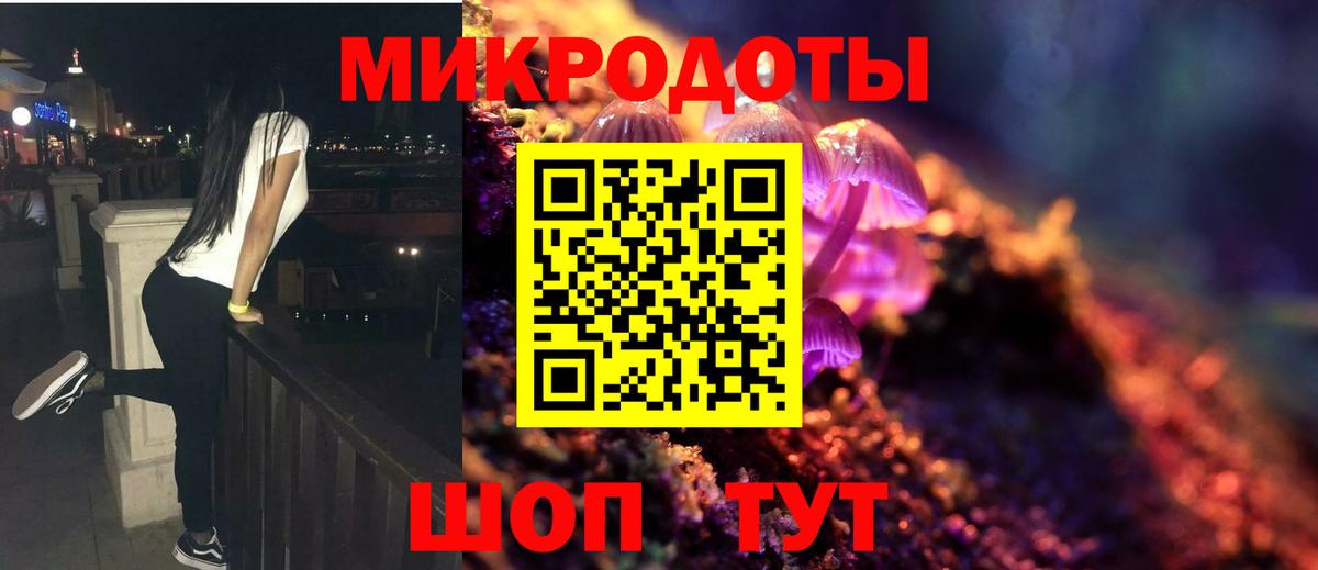 Псилоцибиновые грибы мицелий  купить  цена  Бийск 