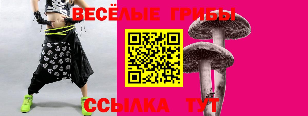 Галлюциногенные грибы Psilocybe Бийск