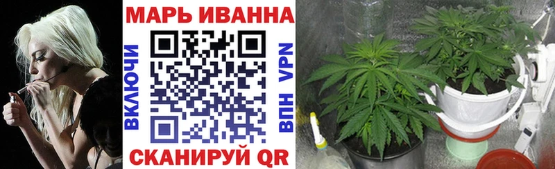 Каннабис планчик Бийск